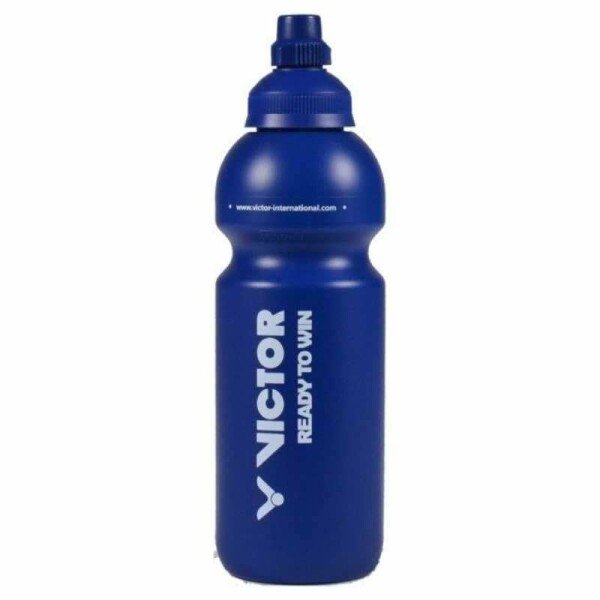 Shop Water Bottle Lv online